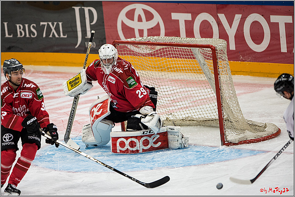 Koelner Haie - Nuernberger Ice Tiger, 04.12.2016